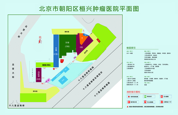 操逼操肏逼北京市朝阳区桓兴肿瘤医院平面图